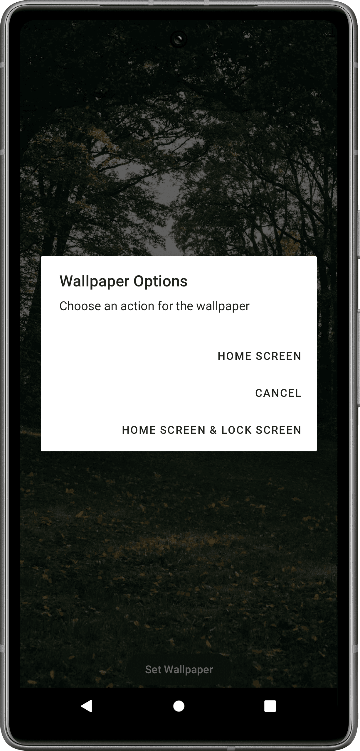 wallpaper preview screen of wallpaper app